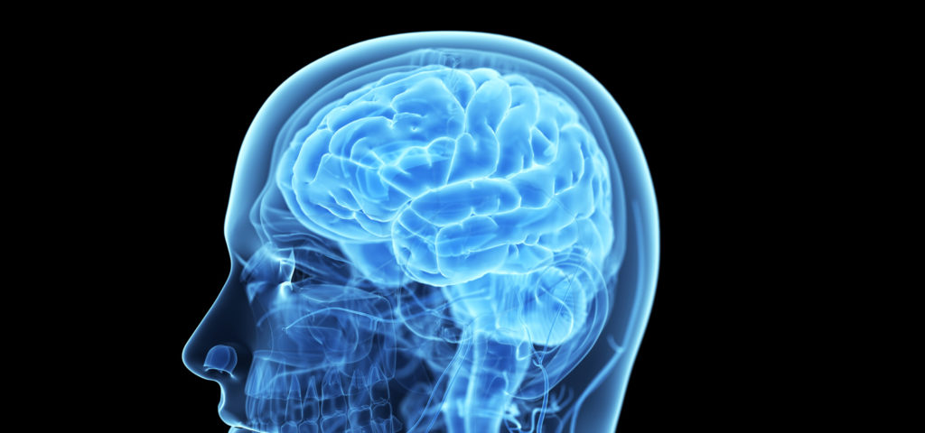Brain Warrior