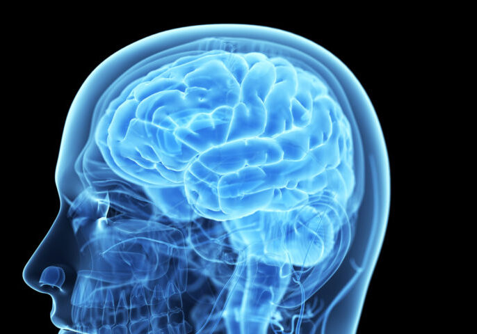 Brain Warrior