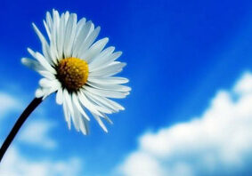 Collaborative Divorce Resources